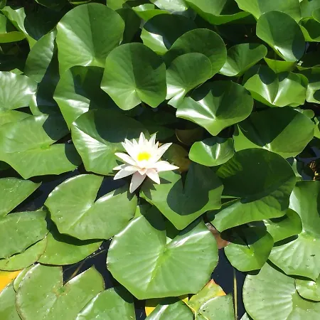 Il Loft Di Al Parco סלה בגאנצה