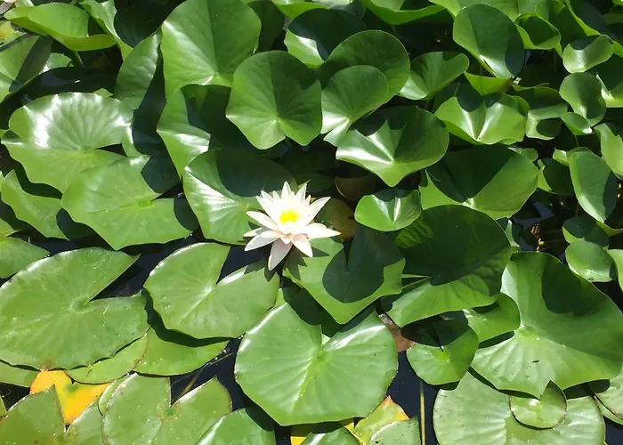 Il Loft Di Al Parco Sala Baganza